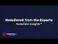 From the Experts NodeZero Insights