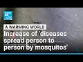 Download Lagu Mosquito-borne diseases: 'As world warms, parasites, diseases and viruses become more transmissible'