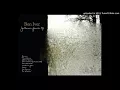 Bon Iver - Team