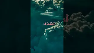 رائعة الشيخ سيد المتولى 