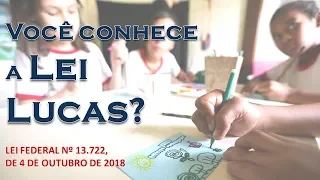 Conheça a Lei Lucas - Capacitação em Primeiros Socorros | Primeiros Socorros Fácil na Web
