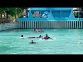 Lagu #Water Park #Mirasol #Daman #Gky@95