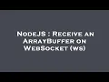 NodeJS Receive an ArrayBuffer on WebSocket ws