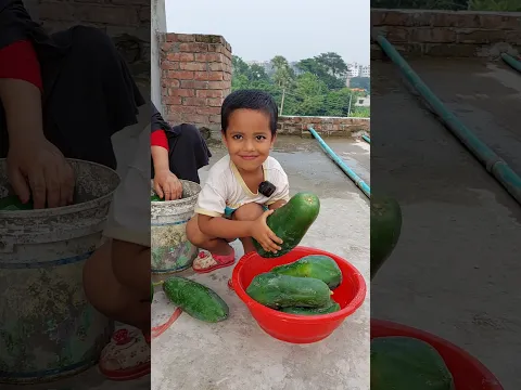 Ayesha Moni Helps Her Mother Clean Papaya ❤️ #Shorts #RealLifeStory #FamilyVlog