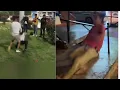 Download Lagu Mamá escucho borroso, viral videos!