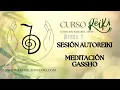 Lagu Autoreiki. Sesión Guiada. Autotratamiento Reiki Usui Sistema Tradicional Japonés. Meditación.