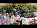 Download Lagu BEGINI PROSES PERTANIAN BUAH TIN , FIG DAN BUAH ARA | BUAH YANG DISEBUT DALAM AL QURAN