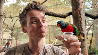 A family day out to Longleat