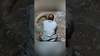 تپه شنی قسمت دوم چگونه آب حیات به دست آوریم کرم شنی کوچک شورت دندنها