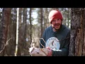 FUN AND PRACTICAL USES FOR BIRCH BARK