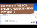 How to Set MIME Types for Specific File Extensions via Htaccess in Website PHP HTML WordPress