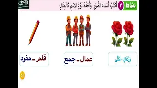 المفرد والمثنى والجمع للصف الثالث الابتدائي المنهج المطور 