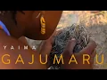 Download Lagu YAIMA - Gajumaru