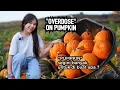 Lagu Pumpkin sebanyak itu untuk apa ? Apa di makan semua ? Membuat ukiran pumpkin sambil masak taco rice