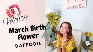 Daffodil Flower Meaning March Birth Flower