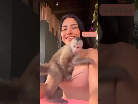 MONKEY 😂  #azerbaijan #elcinmurselov #comedy #shortvideo #shorts