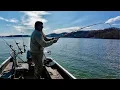 Fishing The Shad Kill