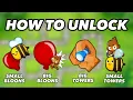 How to Get all Customizations in BTD6
