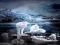 Download Lagu DURAN DURAN Hungry Like The Wolf (night version/long)  HQ