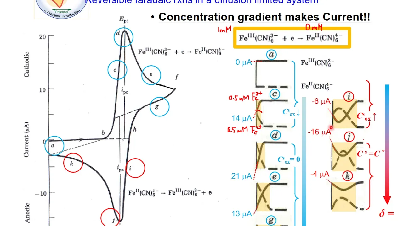 EC@2b-2. The Overview of Electroanalytical Methods (Part 2)