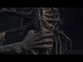 Bloodborne Defiled Chalice Amygdala Solo Strategy