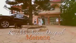 andrew danwel me nene official video