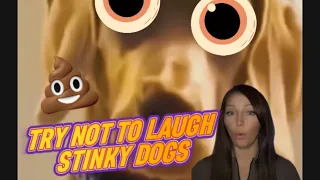 Doggy Farts Gone Viral: Hilarious Pranks on Our Pooch Pals!