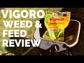 Vigoro Weed And Feed Review - Lawn Before and After