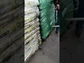 Working at sucks