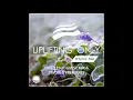 Download Lagu Ori Uplift - Uplifting Only 364 (Jan 30, 2020) (incl. LESOT Guestmix)