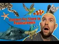 The Coolest Pet Store in Pennsylvania