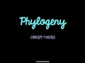 OLD Unit 6 Phylogeny Notes