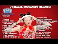 DJ NizziE™ Mandarin Megamix - Golden Crown Jakarta |  Lagu Funkot Dugem House Music Remix Manyao