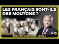 Download Lagu Les Français sont-ils des moutons ?