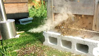 ミツバチの巣箱に侵入した寄生虫を爆煙で退治する