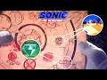 Sonic Movie Sonic Map Showing Many Series Related Secrets