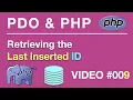 PDO PHP MySQL Retrieve Last InsertedID BEGINNERS Tips from the Self Taught Developer