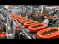 Inside the Modern Papaya Factory - From Farm to Dessert (Full Process)
