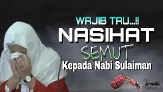 Download Abuya Uci Turtusi| Wajib Tau‼️ Nasihat Semut Kepada Nabi Sulaiman MP3