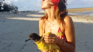 Sailing into freedom Episode 78 Shearwater rescue