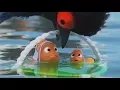 Finding Dory - Best Scenes