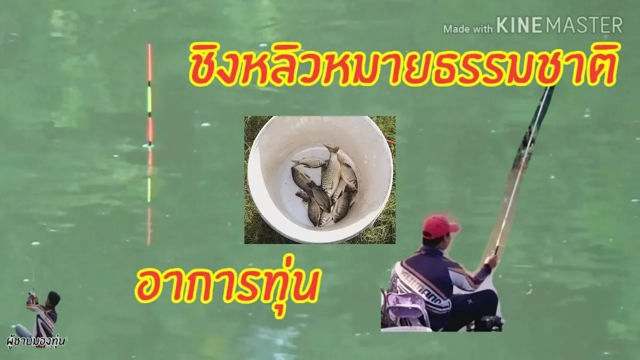 #ชิงหลิว #อาการทุ่น
🐟🐟ชิงหลิวหมายธรรมชาติ💯💯EP 49 อาการทุ่น😁😁ทำดีที่สุดแล้ว//หนักหนาสาหัส