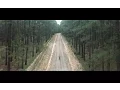 Download Lagu Hollow Coves - The Woods (Official Music Video)