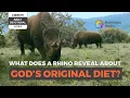 3-Minute Daily Devotional The Rhino s Secret Strength from Plant-based Diet