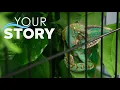 Rehome Exotic Pets in Florida Your Story