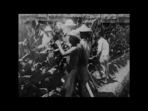 A Trip Through British North Borneo (Trip to Borneo) 1907 (Urban)