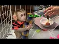Download Lagu Monkey Tina hugged the pillow tightly and refused to take the medicine her mother gave her.