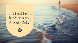 Deepak Chopra The First Front For Stress And Anxiety Relief A Guided Meditation 