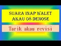 Download Lagu Suara Tarik Akau | Akau 08 denoise
