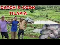 Download Lagu Ang Daming Tilapia sa ilalim ng Kubo Catch \u0026 cook Mas masarap Mabuhay sa Bukid simpling Buhay